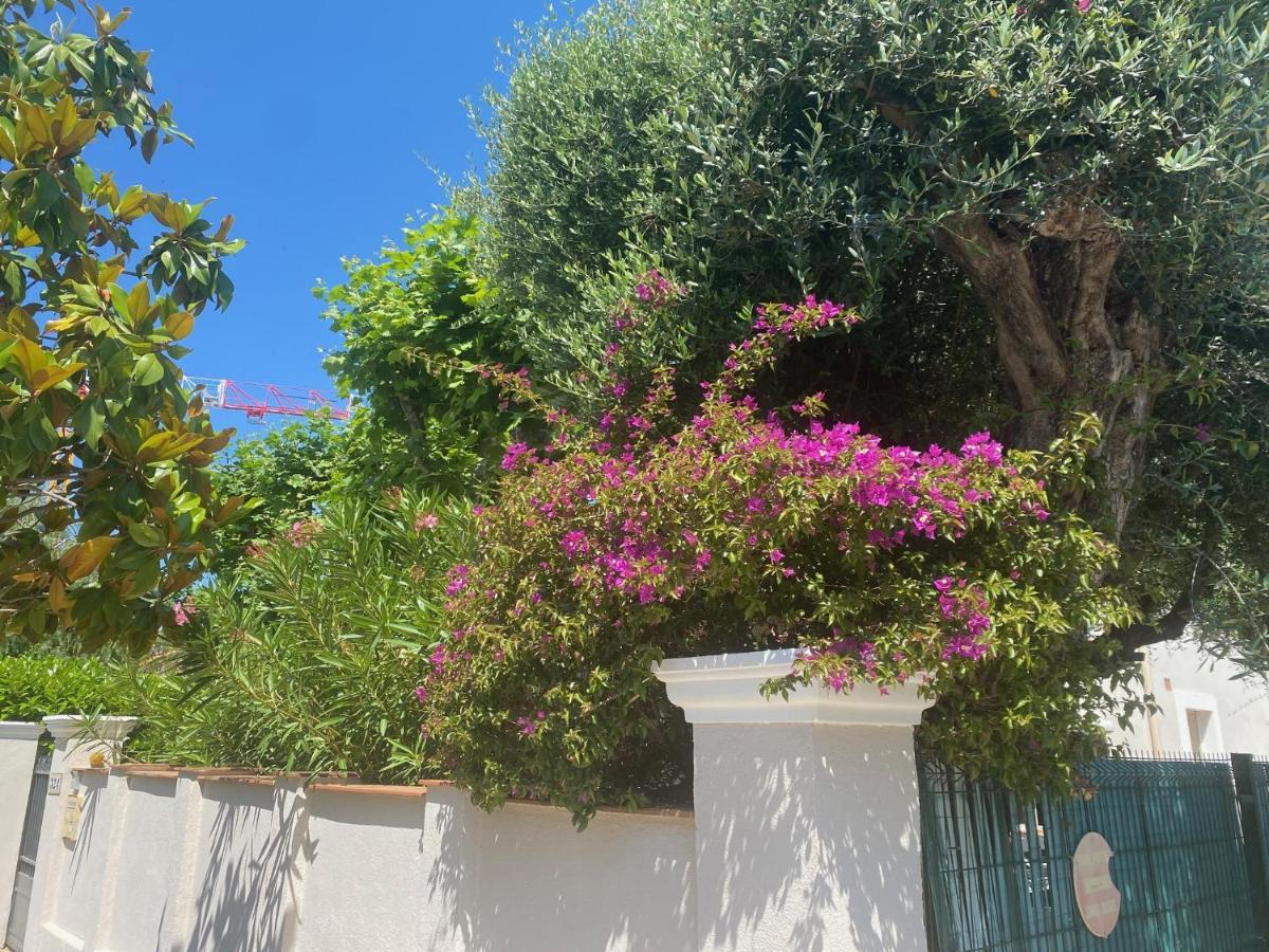 Arche De Portissol Sanary Appartement De Charme 4 A 6 Personnes Dış mekan fotoğraf